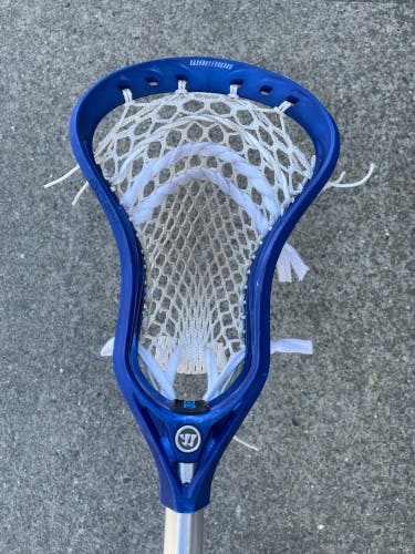 Evo Qx-O, Blue Dyed Strung
