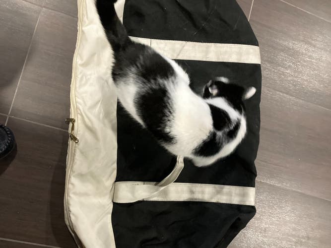 Used Bag