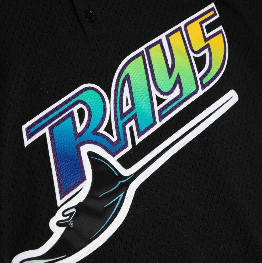 Wholesale Tampa Bay Rays Wade Boggs Mitchell & Ness Baseball Jersey - China  Jerseys and Baseball Jersey price