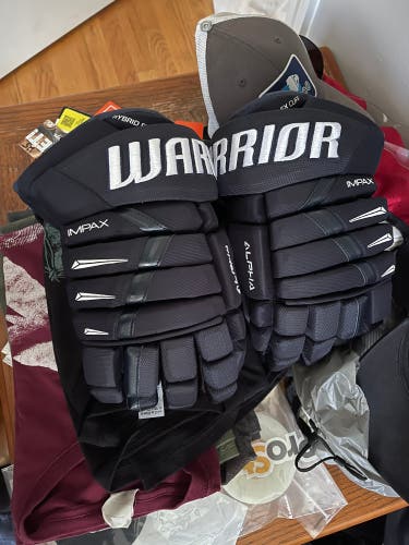 Warrior 13"  Alpha DX Pro Gloves
