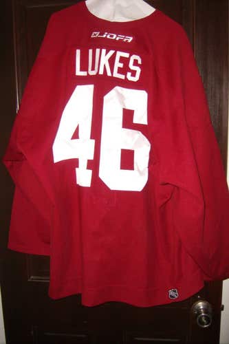 Phoenix Coyotes #46 Frantisek Lukes worn 2003 rookie tournament jersey (red Jofa size 56) sewn NOB