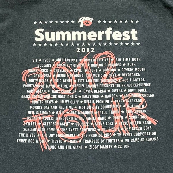 Summerfest Music Festival T Shirt Men Large Adult Black Concert Tour Milwaukee
