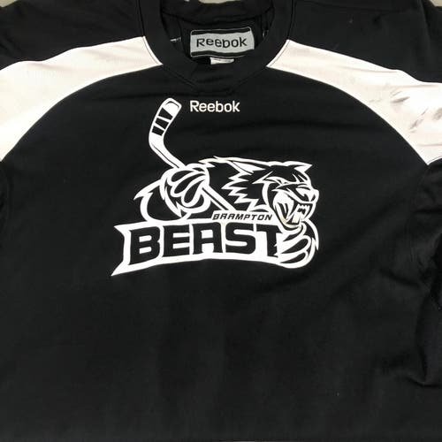 ECHL Brampton Beast Practice worn goalie jersey