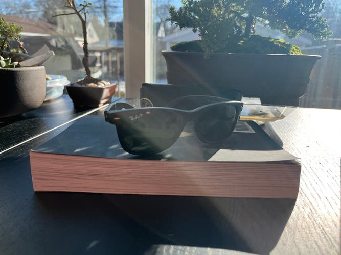 Black - Polarized Rayban Sunglasses