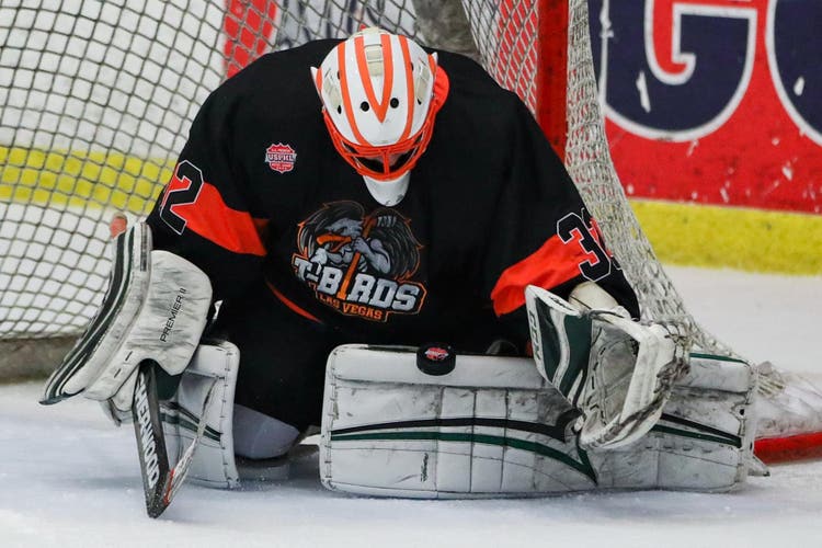 Used Large Vaughn Pro Stock Ventus SLR Goalie Chest Protector