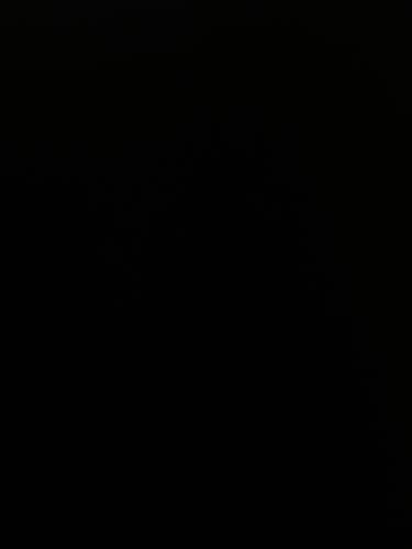 Deal for Nolan_Gentry