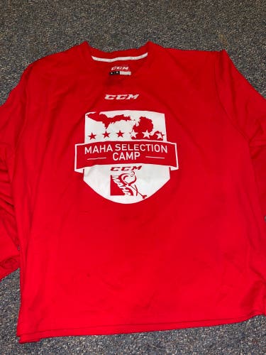 Michigan state AAA selection camp jersey