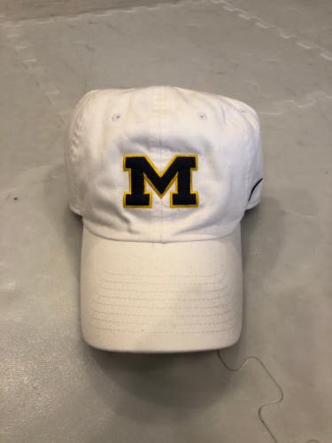 New Michigan Hockey Hat