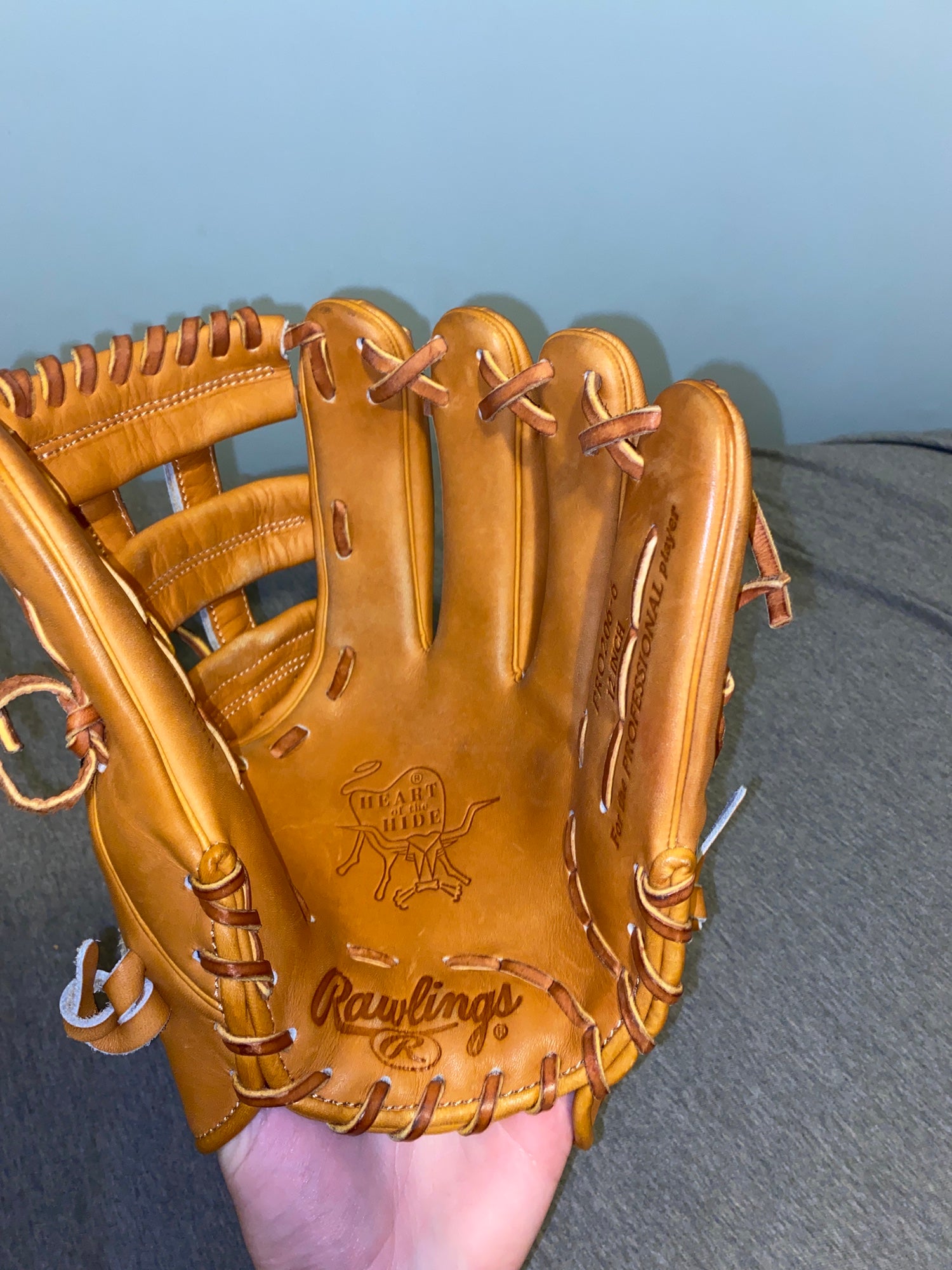 Custom Rawlings Heart of the Hide