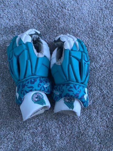 Used Rochester Knighthawks Gloves