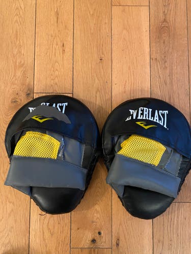Used Everlast Focus Mitts