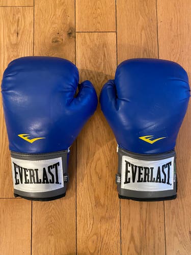 Used Everlast 8 oz Gloves blue