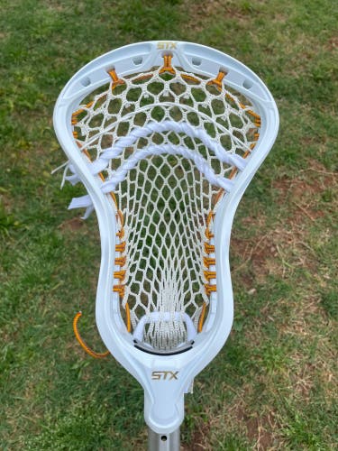 New Stallion 900 Head W/ ECD Hero 3.0