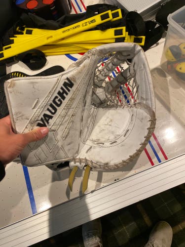 Used Regular  Velocity VE8