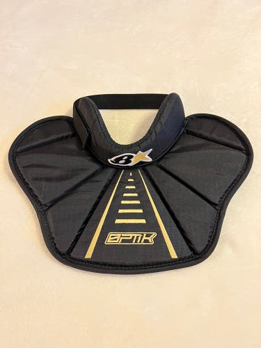 Brian’s New Neck Collar