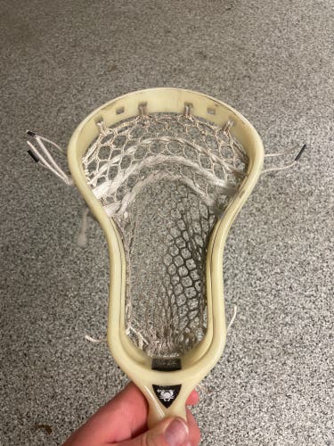 Used ECD Natural DNA Head