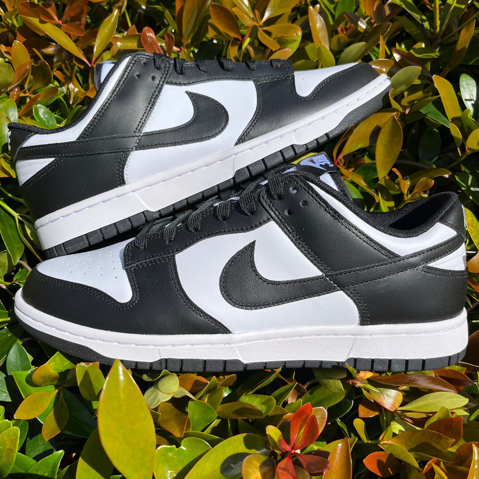 nike dunk low panda men
