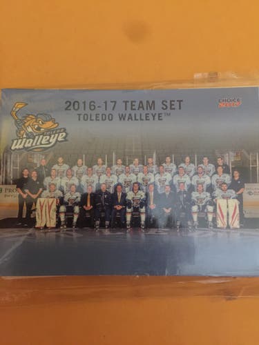 2016-2017 TOLEDO WALLEYE  TEAM SET ECHL