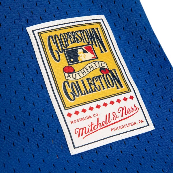 MLB Montreal Expos (Vladimir Guerrero) Men's Cooperstown Baseball Jersey