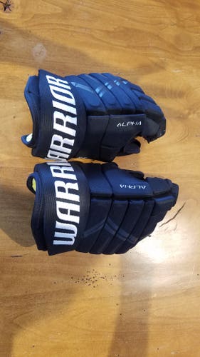 Used Warrior Gloves Alpha Lite 13" pretty much brand new