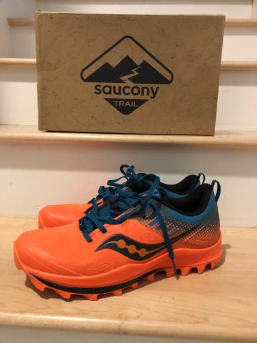Saucony Peregrine 10 ST Men’s Running shoes Size 10