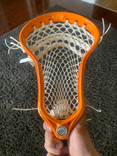 GC Optik 3.0