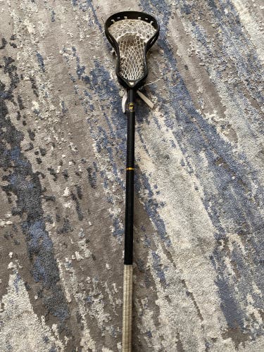 Lacrosse shaft and head