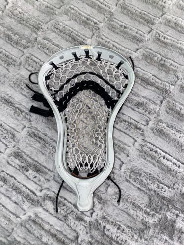 New STX Stallion Omega Head