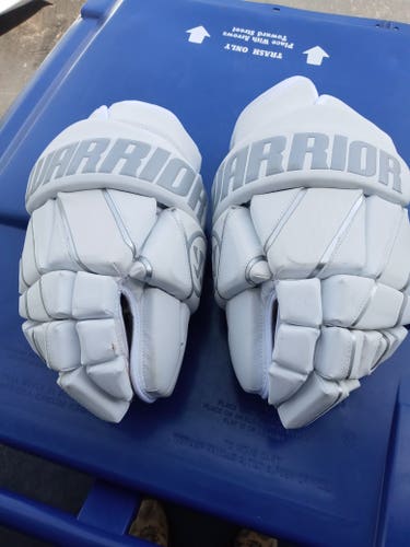 Used Warrior Burn Fatboy Goalie Gloves 14"