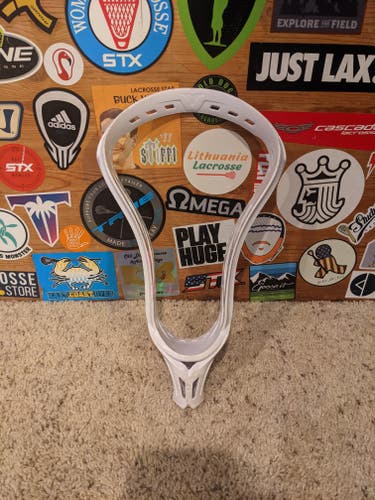 Very Rare Brine Voyce Head