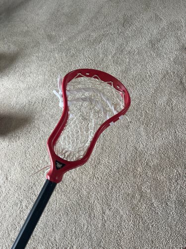 New Strung Red DNA Head
