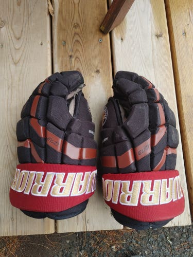 Warrior QR3 Gloves 14" Pro