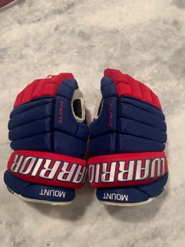 Warrior 14"  Alpha Pro Gloves