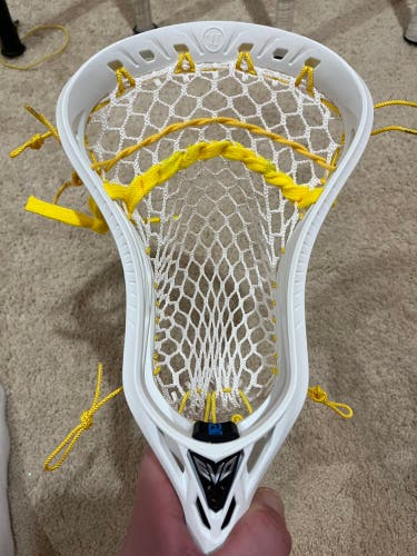 Strung Evo 5 Head