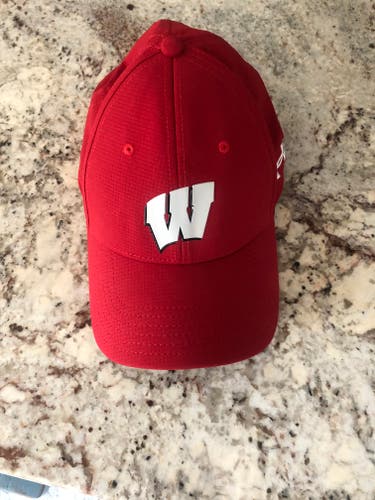 Wisconsin Hat