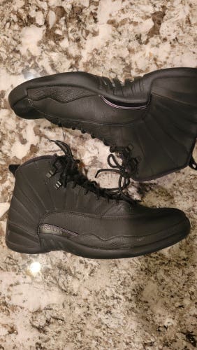 Black Adult Used Men's Size 11 (Women's 12) Air Jordan JORDAN 12 RETRO WINTER BLACK SIZE Shoes
