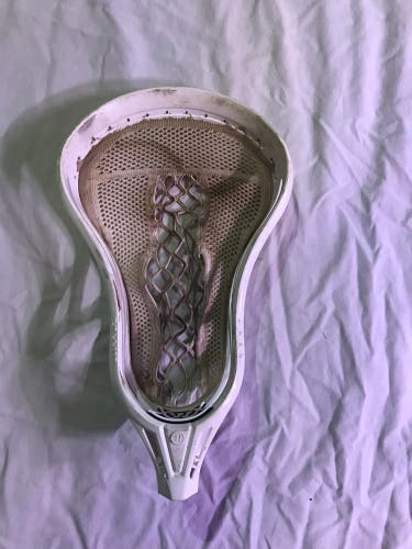 Evo Warp Next Head - Low Whip