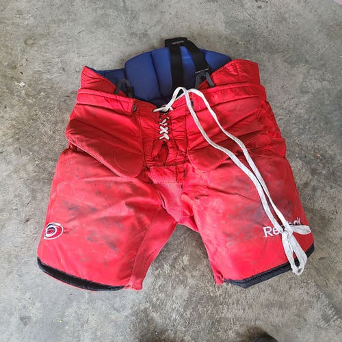 Carolina Hurricanes Justin Pogge Pro return goalie pants.