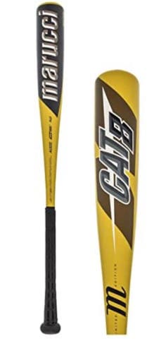 2021 Alloy (-10) 19 oz 29" CAT 8 Bat