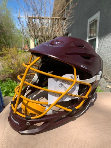 New Warrior Burn Helmet