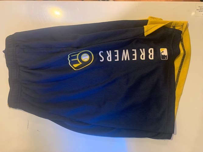 Nike Baseball Shorts