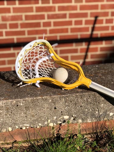 Used Strung Stallion 900 Head