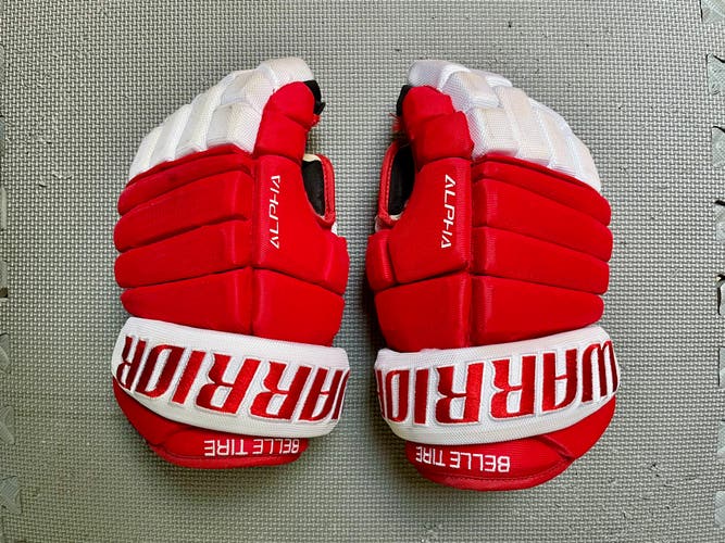 Belle Tire Team Warrior 14" Pro Stock Alpha Pro Gloves Senior