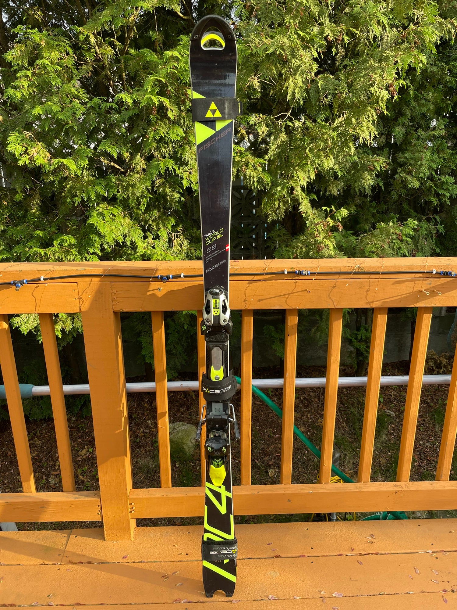 Fisher World cup RC4 SL 158cm - スキー