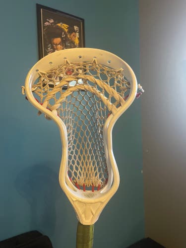 Used FOGO Strung Beast7 Head