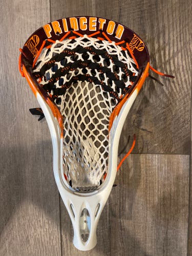 Custom Princeton Warrior Evo Pro 2.0