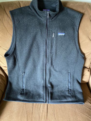 Mens Patagonia Vest