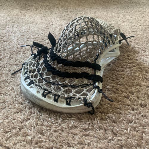 Warrior Evo 5 w/ 2s