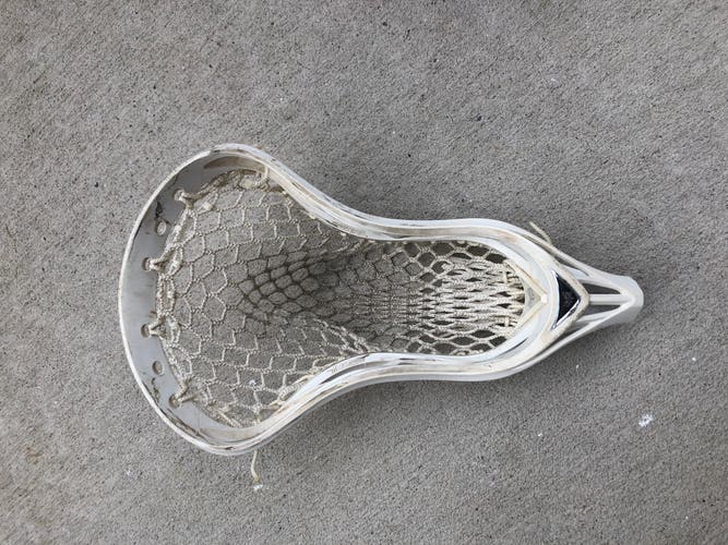 Strung Warrior Rabil Head