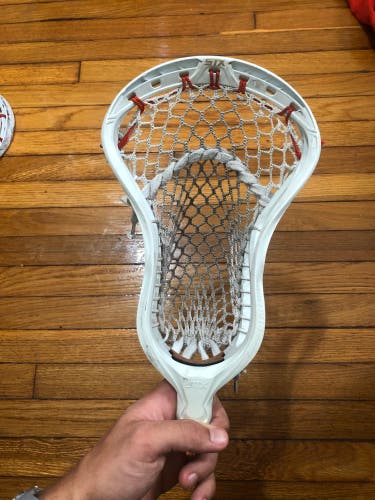 Used Attack & Midfield Strung Stallion Omega Head